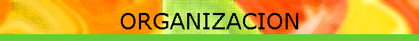 ORGANIZACION